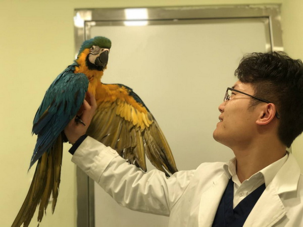 馬特2修改 馬特2修改